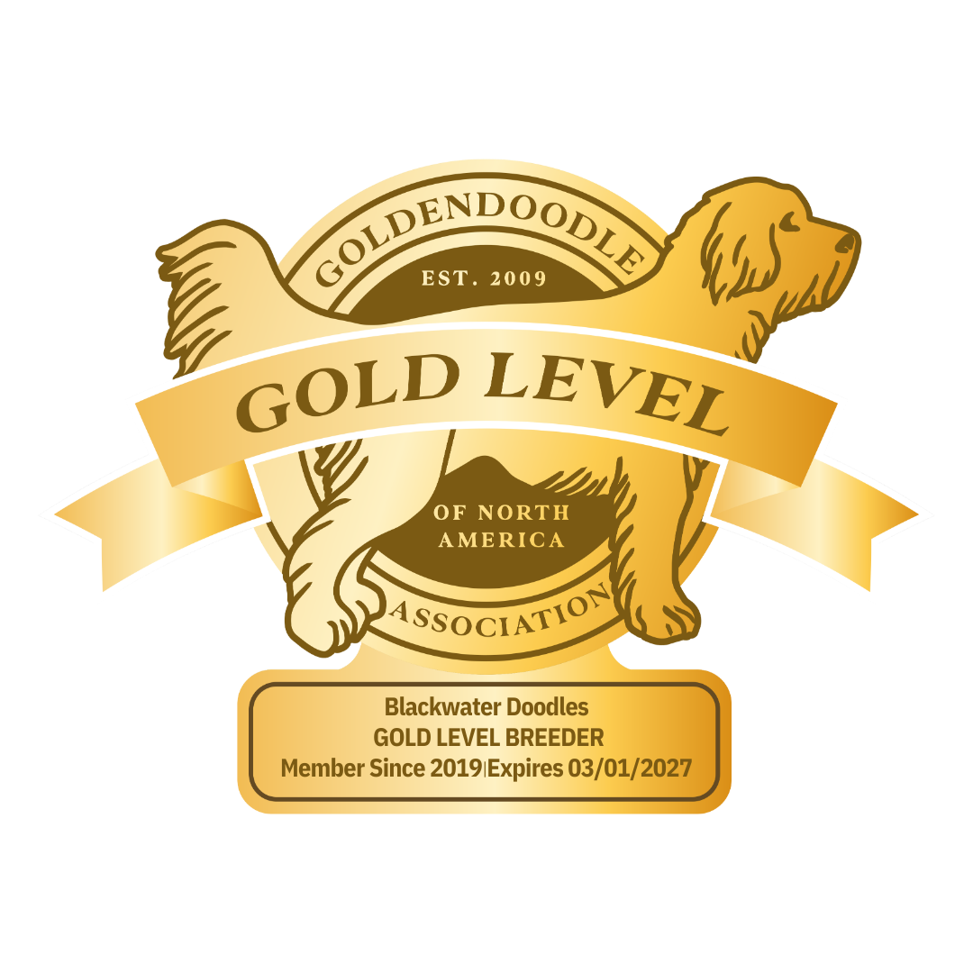 Blackwater Doodles, Gold Level Breeder with the Goldendoodle Association of North America (GANA) since 2019