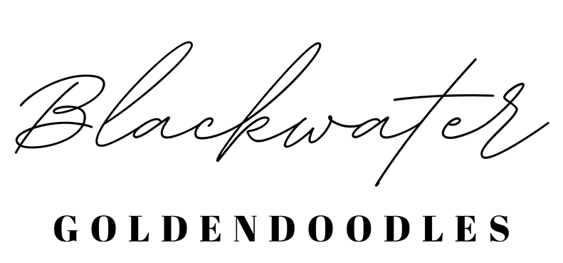 Blackwater Doodles Logo